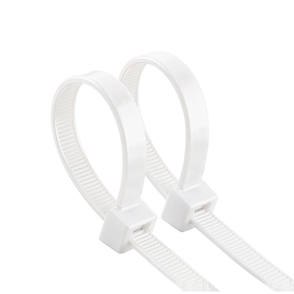 BRY-2,5x200mm-100pcs/bag-PA66-WHT-CABLE TIES - 4