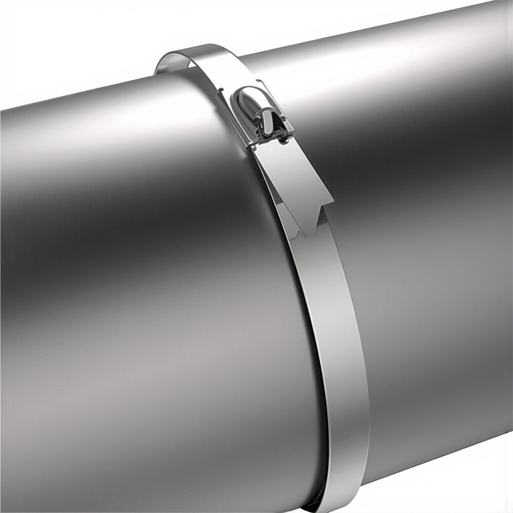 BRY-4,6x200mm-50pcs/bag-304 SS-SLV-CABLE TIES - 2