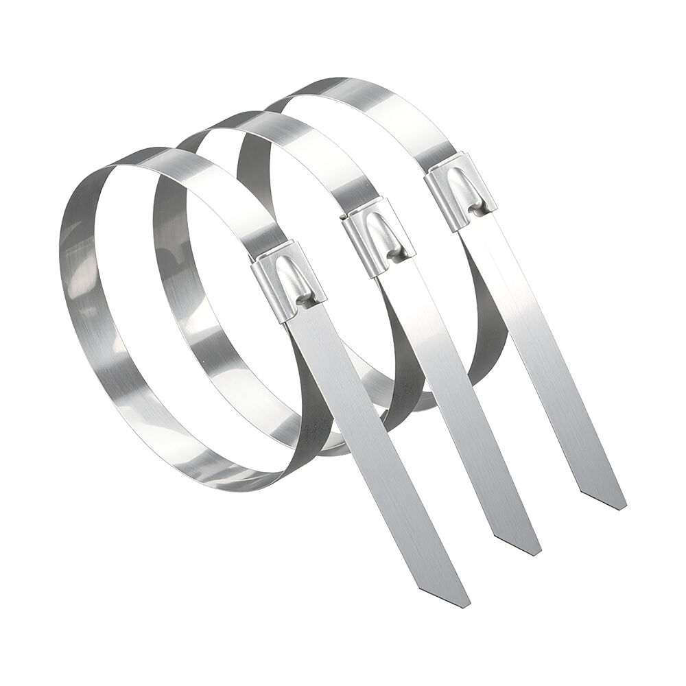 BRY-4,6x200mm-50pcs/bag-304 SS-SLV-CABLE TIES - 3