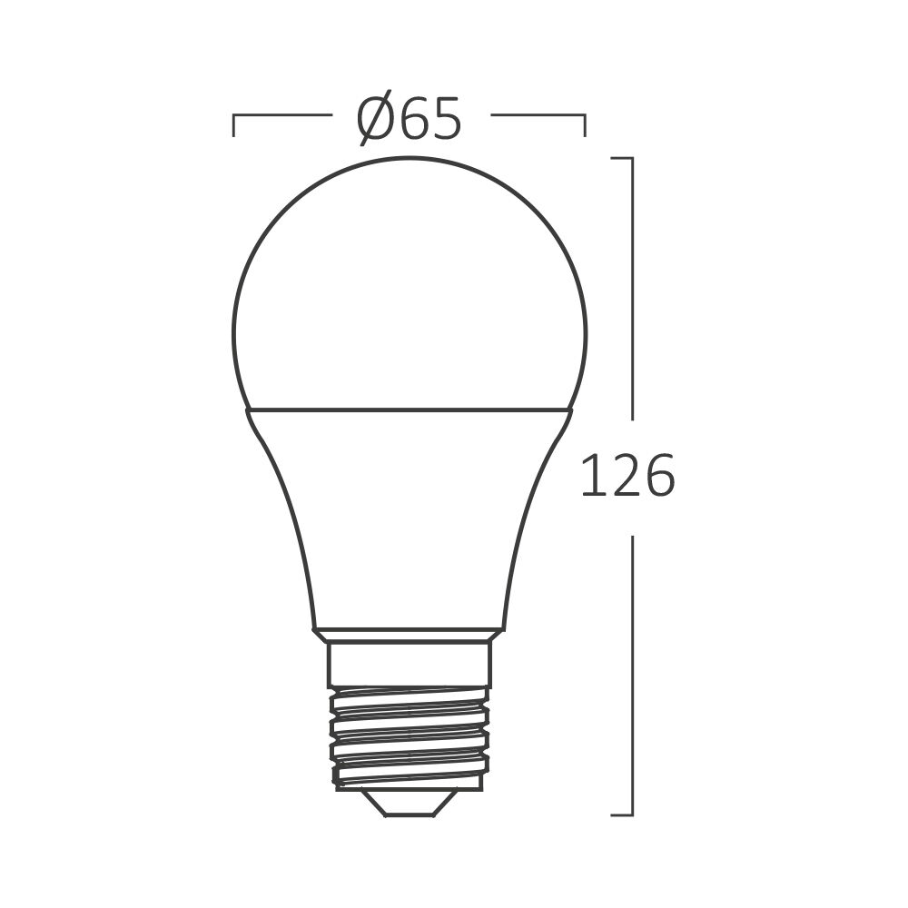 BRY-ADVANCE-16W-E27-A65-6500K-LED BULB - 4