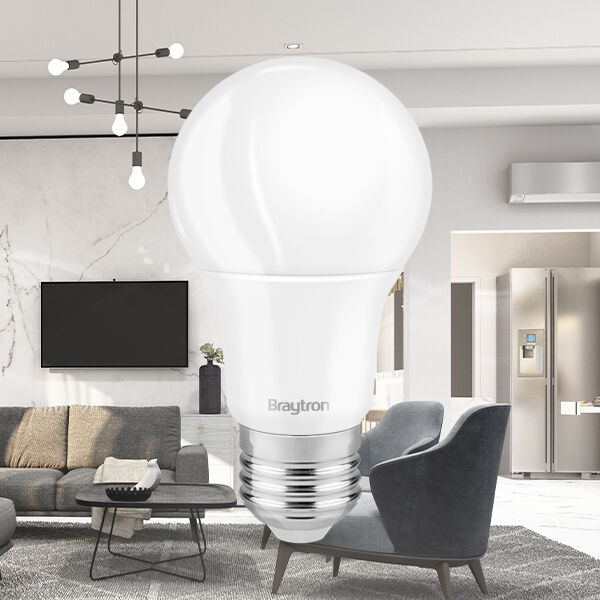 BRY-ADVANCE-18W-E27-A65-3000K-LED BULB - 2