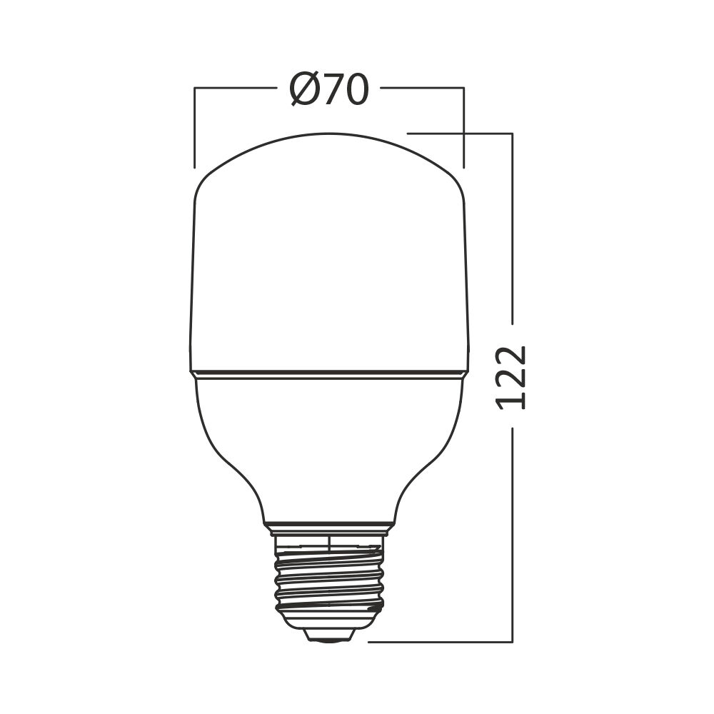 BRY-ADVANCE-20W-E27-T70-6500K-LED BULB - 4