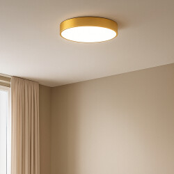 BRY-BLADE-SR-RND-GLD-36W-3IN1-CEILING LIGHT - 2