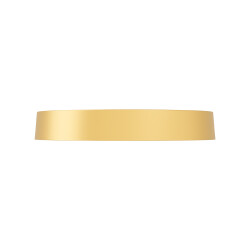 BRY-BLADE-SR-RND-GLD-36W-3IN1-CEILING LIGHT - 3