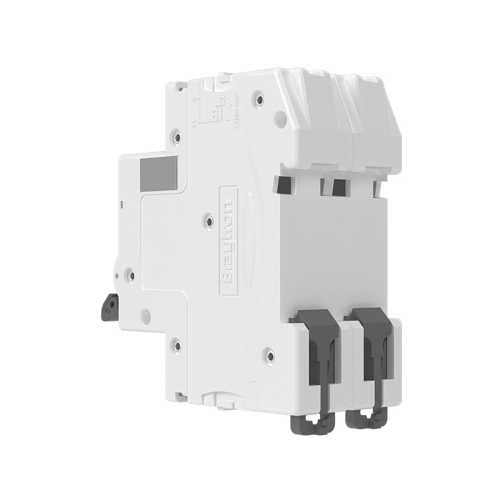 BRY-BMG2-2 C06-06A-2P C TYPE 6KA-MCB - 3