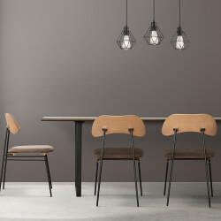 BRY-D002C-3H-3xE27-WDN-PENDANT LIGHT - (1)