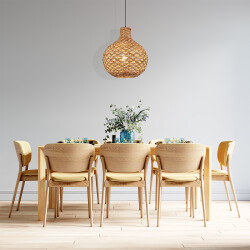 BRY-D003R-1H-1xE27-RTN-PENDANT LIGHT - (1)