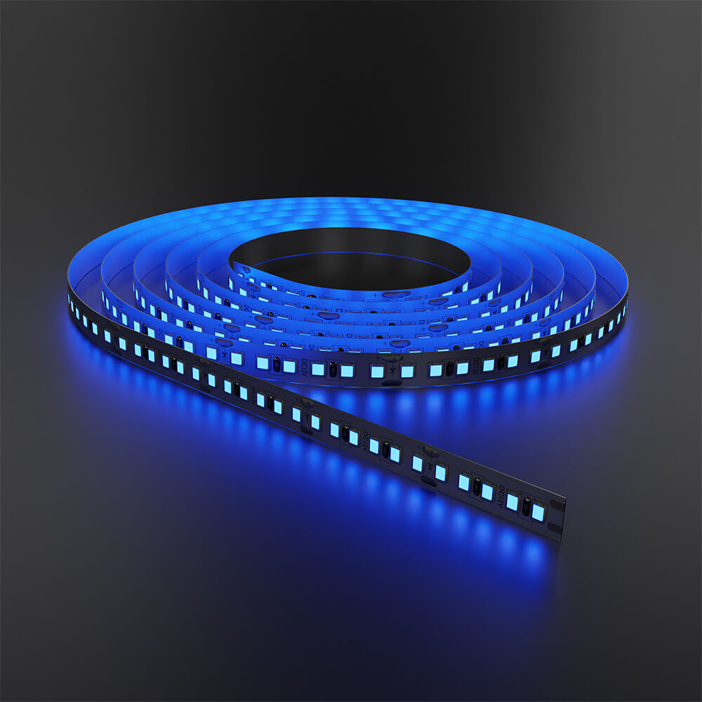 BRY-ECOLINE-16W-180L-2835-BLU-12V-IP20-LED STRIP - 2
