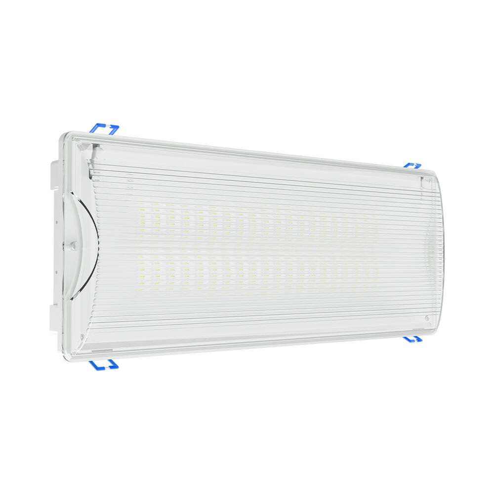 BRY-EXIT-LED-5W-DUAL-IP65-WHT-EMERGENCY EXIT - 4