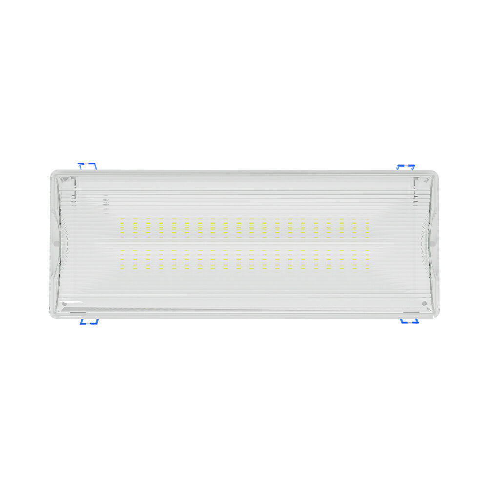 BRY-EXIT-LED-5W-DUAL-IP65-WHT-EMERGENCY EXIT - 5