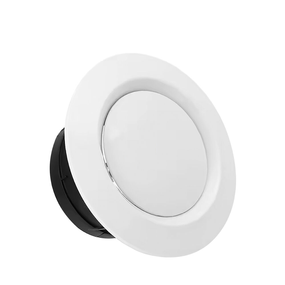 BRY-FAN-6