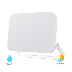BRY-FLOOD-WF-100W-WHT-3IN1-IP65-LED FLOODLIGHT - 1