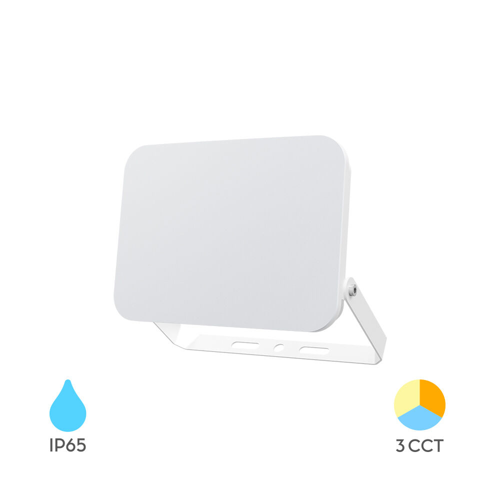BRY-FLOOD-WF-10W-WHT-3IN1-IP65-LED FLOODLIGHT - 1