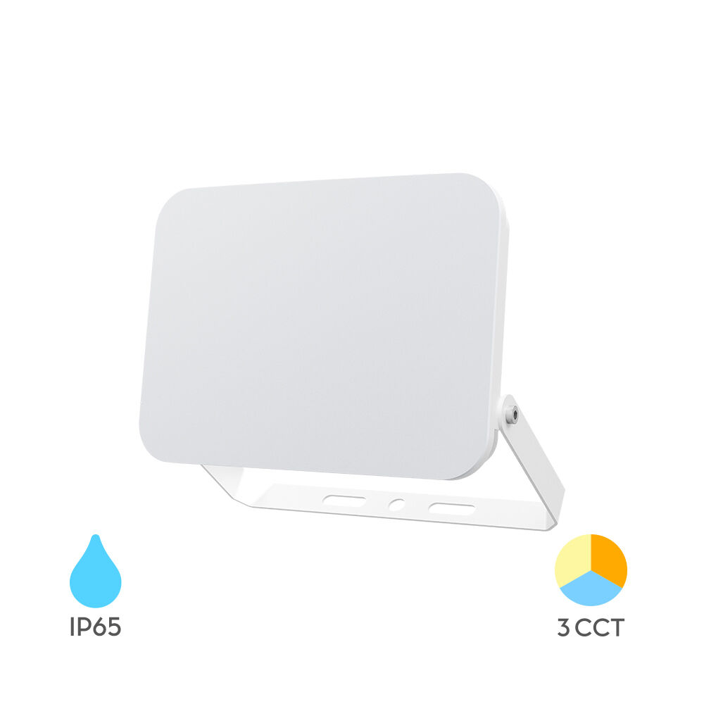 BRY-FLOOD-WF-20W-WHT-3IN1-IP65-LED FLOODLIGHT - 1