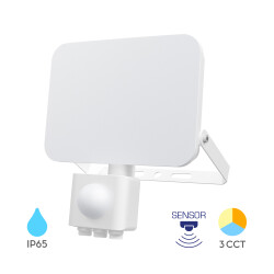 BRY-FLOOD-WF-30W-WHT-3IN1-SNS-IP54-LED FLOODLIGHT - 1