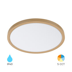 BRY-JADE-G2-SLR-WDN-RND-45W-5IN1-CEILING LIGHT - 