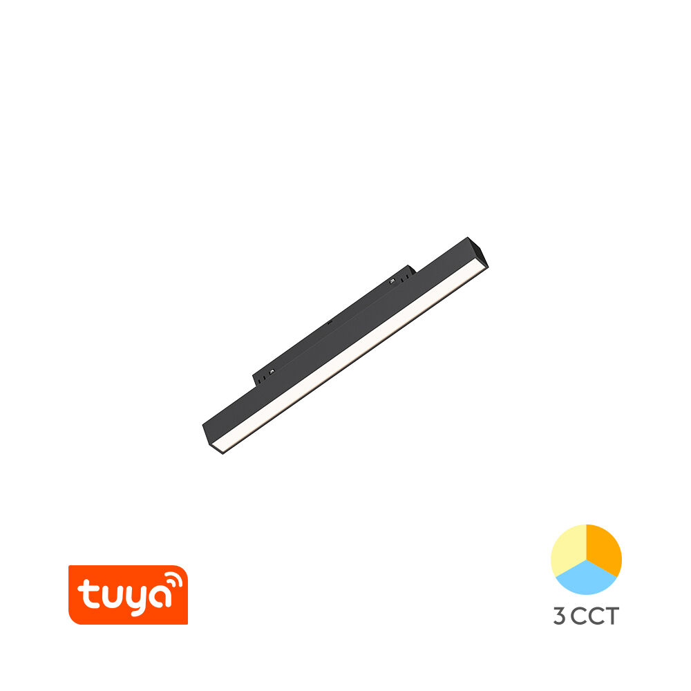 BRY-M20-LNR300-10W-48VDC-TUYA-LAN-BLC-MAG. LINEAR - 1