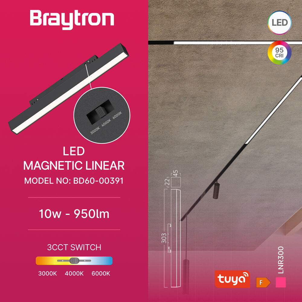 BRY-M20-LNR300-10W-48VDC-TUYA-LAN-BLC-MAG. LINEAR - 3