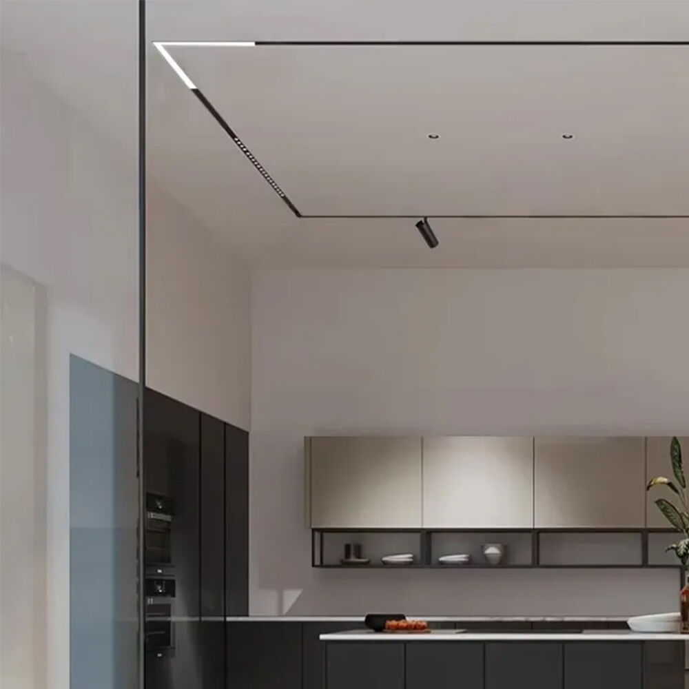 BRY-M20-LNR300C-20W-48VDC-3IN1-BLC-MAG. LINEAR - 2