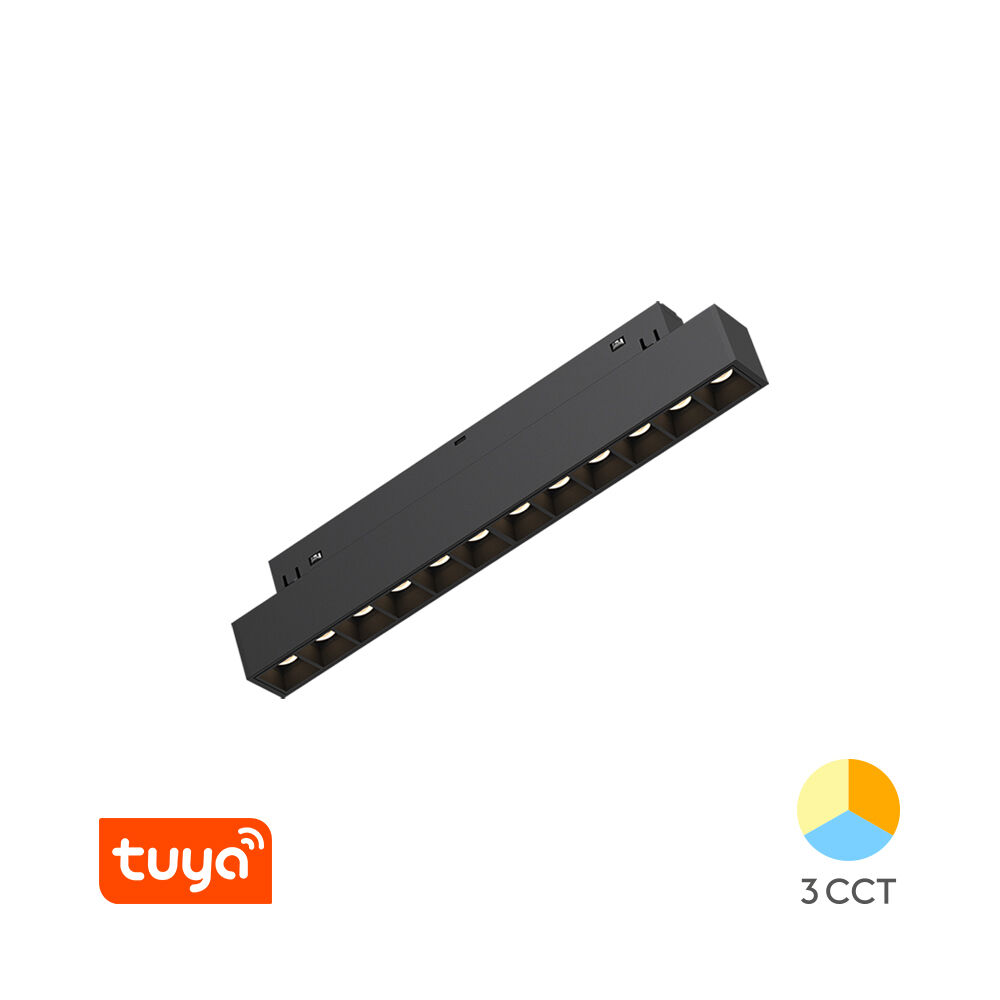 BRY-M20-LNS220-12W-48VDC-TUYA-LAN-BLC-MAG. LINEAR - 1
