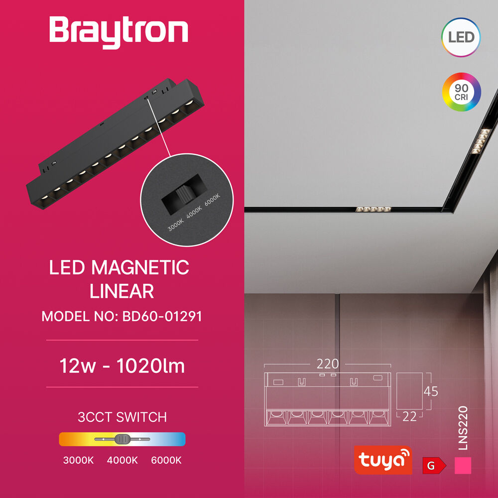 BRY-M20-LNS220-12W-48VDC-TUYA-LAN-BLC-MAG. LINEAR - 3