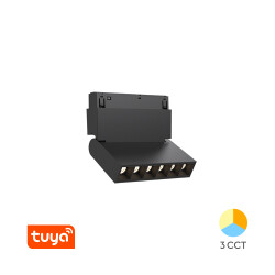 BRY-M20-WSL110-6W-48VDC-TUYA-LAN-BLC-MAG. LINEAR - 