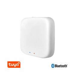 BRY-MS20-HUB-WHT-TUYA-LAN-ADAPTOR.SWITHC - 