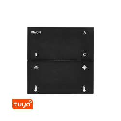 BRY-MS20-SW01-BLC-TUYA-LAN-MAG.SWITHC - 