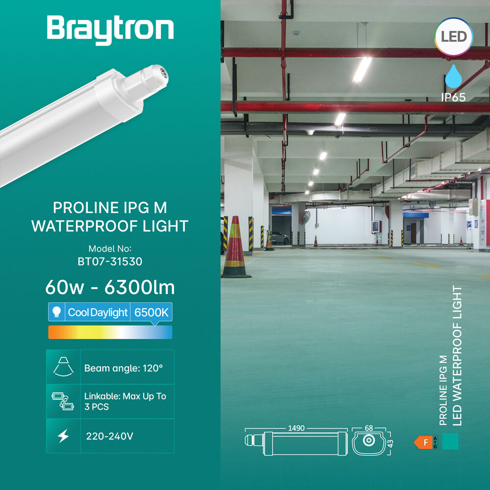 BRY-PROLINE-IPG-M-60W-6500K-IP65-WATERPROOF LIGHT - 3