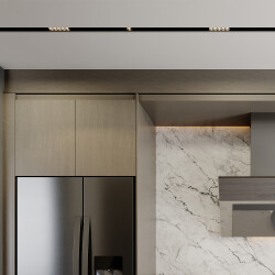 BRY-S20A-LNS110-6W-48VDC-3IN1-BLC-MAG.LINEAR - (1)