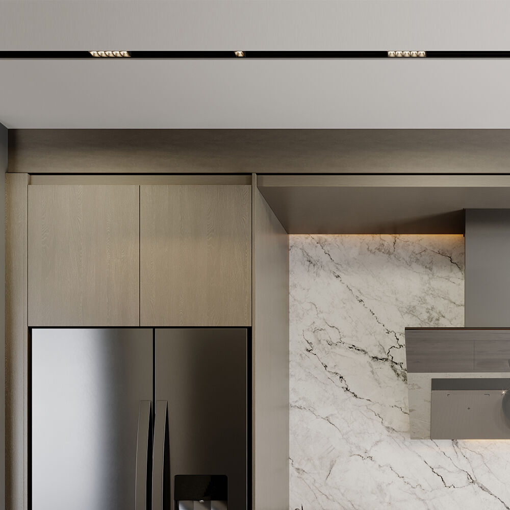 BRY-S20A-LNS110-6W-48VDC-3IN1-BLC-MAG.LINEAR - 2