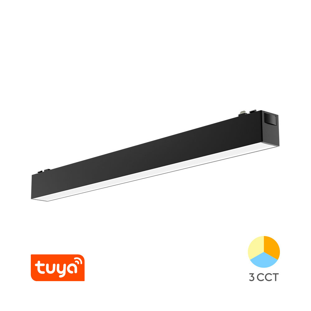 BRY-S20B-LNR300-10W-48VDC-TUYA LAN-BLC-MAG.LINEAR - 1