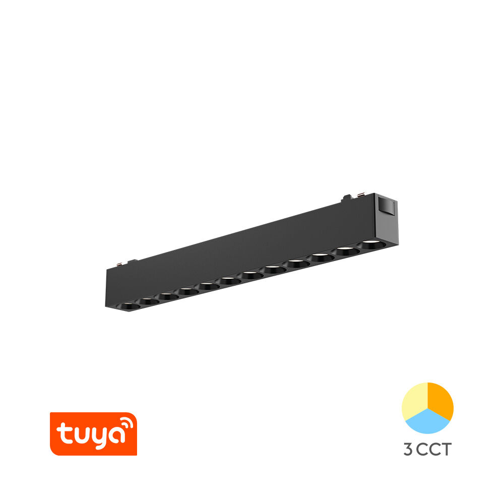 BRY-S20B-LNS220-12W-48VDC-TUYA LAN-BLC-MAG.LINEAR - 1