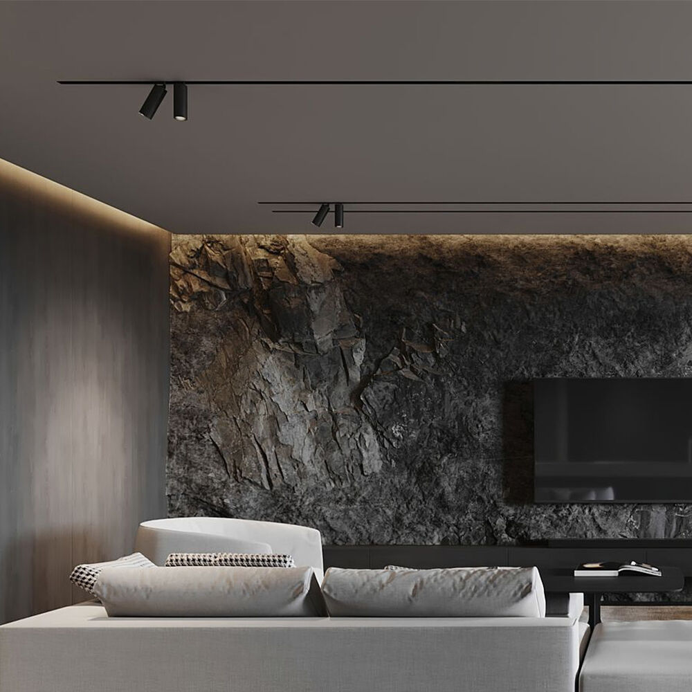 BRY-S20B-TRC045-10W-48VDC-TUYA LAN-BLC-MAG. TRACK - 2