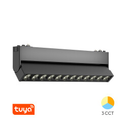 BRY-S20B-WSL250-12W-48VDC-TUYA LAN-BLC-MAG.W.WASHER - 