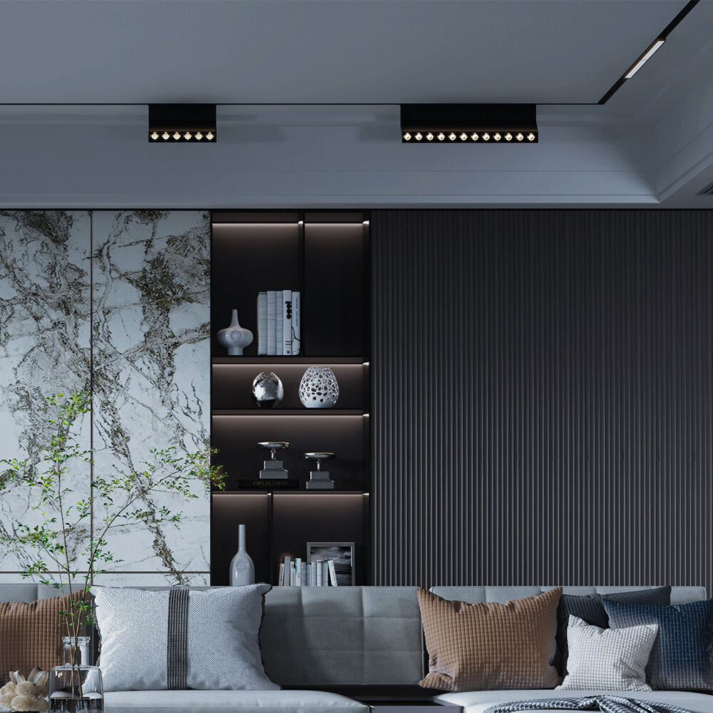 BRY-S20B-WSL250-12W-48VDC-TUYA LAN-BLC-MAG.W.WASHER - 2