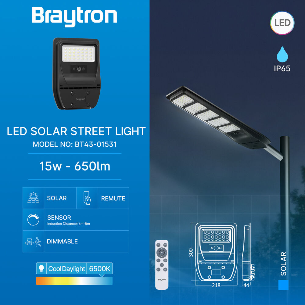 BRY-SOLAR-ST01-15W-6500K-SNS-IP65-SOLAR STREET LIG - 3