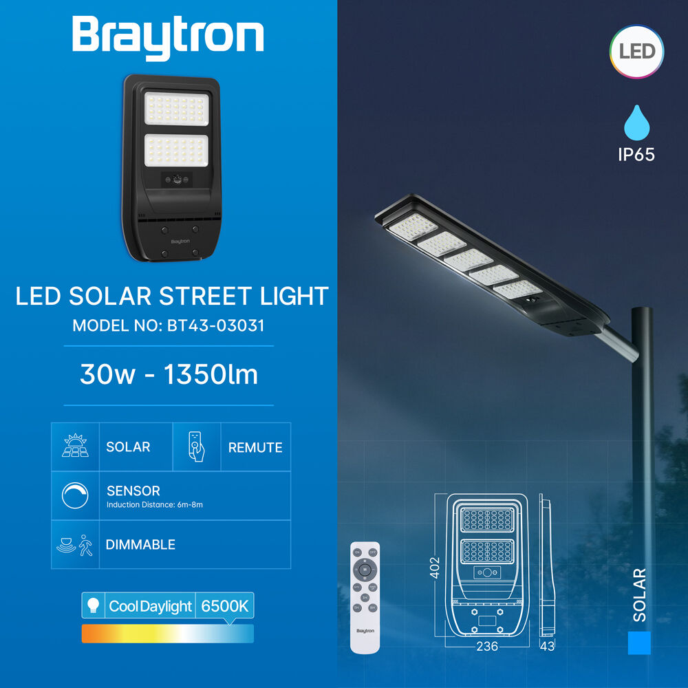 BRY-SOLAR-ST01-30W-6500K-SNS-IP65-SOLAR STREET LIG - 3