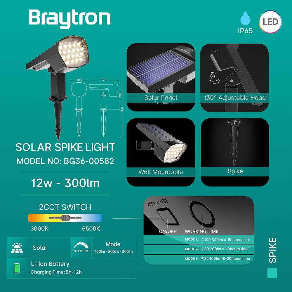 BRY-SPIKE-12W-GRY-2IN1-IP65-SPIKE LIGHT - 3