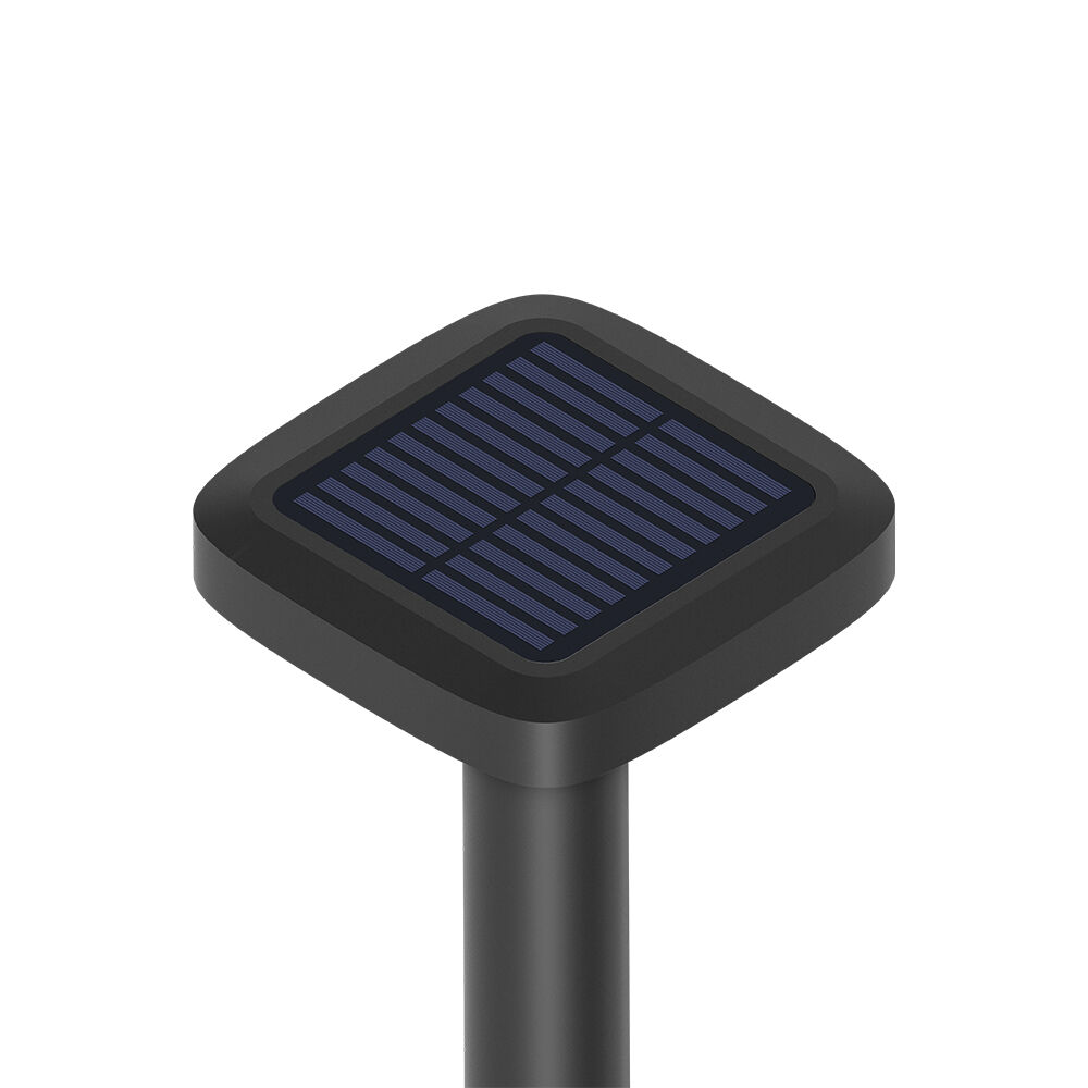 BRY-SPIKE-2B-8W-SQR-BLC-2IN1-IP65-SPIKE LIGHT - 8