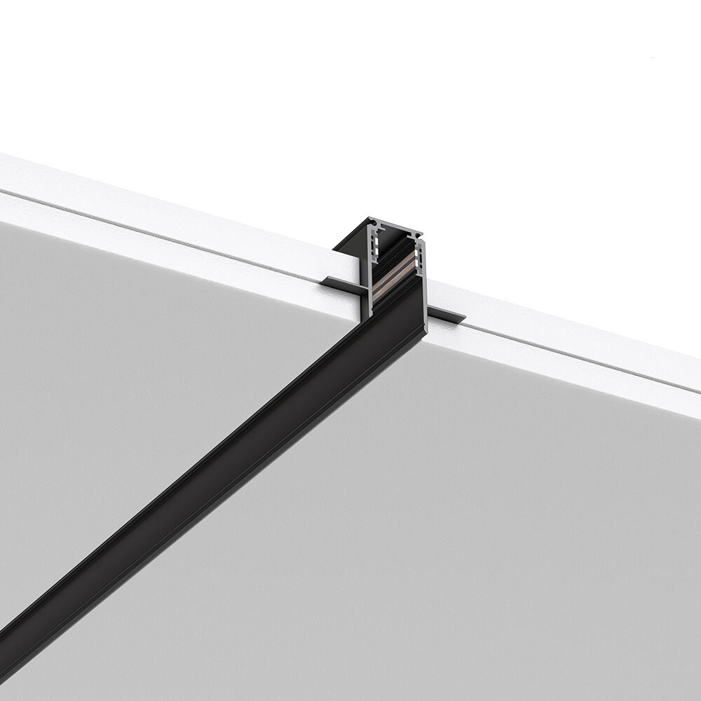 BRY-TR04-3M-48VDC-BLC-MAG.RAIL - 1