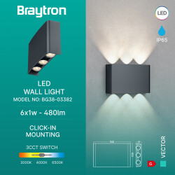 BRY-VECTOR-B-WL-GRY-6x1W-3IN1-IP65-WALL LIGHT - 3