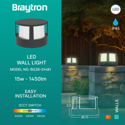 BRY-WALLS-G1-RND-BLC-15W-3IN1-IP65-WALL LIGHT - 3