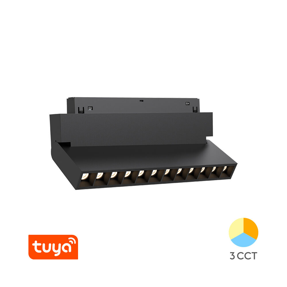 BRY-WSL250-12W-48VDC-TUYA-LAN-BLC-MAG. LINEAR - 1