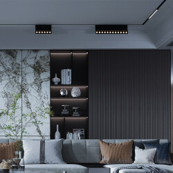 BRY-WSL250-12W-48VDC-TUYA-LAN-BLC-MAG. LINEAR - (1)