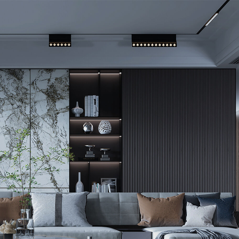 BRY-WSL250-12W-48VDC-TUYA-LAN-BLC-MAG. LINEAR - 2